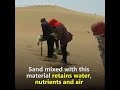 amazing invention, converting desert to cultivable land, future of crop cultivation,