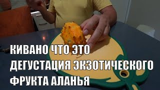 КИВАНО ЧТО ЭТО ДЕГУСТАЦИЯ ЭКЗОТИЧЕСКОГО ФРУКТА