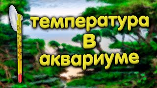 Температура воды в аквариуме. Как повысить или снизить температуру воды в аквариуме.