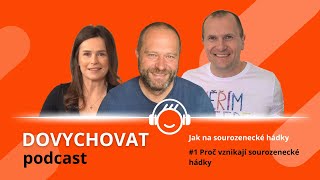 Jak na sourozenecké hádky #1 - Proč vznikají sourozenecké hádky