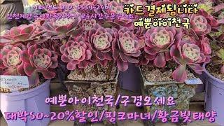 예뿐아이천국/구경오세요/대박50~20%할인.  이화랜드010-3339-2461  나는농부다282회출연