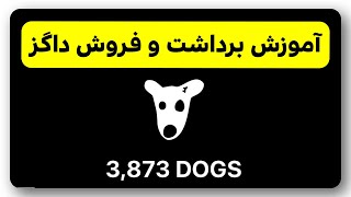 نحوه اتصال ربات DOGs به کیف پول و برداشت