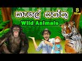 කැලේ සත්තු බලන්න යමු | Wild Animal Names for Kids | Jungle Animals names| Kids TV