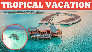Top 3 Best Tropical Vacations (Bora Bora Honeymoon) | Mr.3Travels