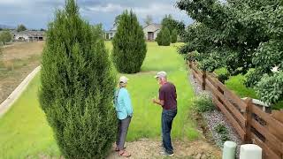 Grant Project: Native Grass Conversion at the Pelican Ridge HOA in Fort Collins