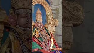 Kanchi Sri Perundevi Thayar Dhivya Sevai.காஞ்சி ஸ்ரீ பெருந்தேவி தாயார் திவ்ய சேவை