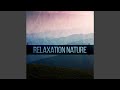 Tranquility Nature