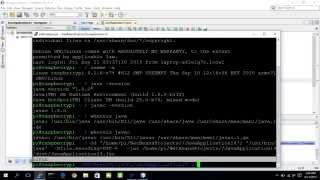 Remote run Java on Raspberry Pi, host from NetBeans on Windows 10