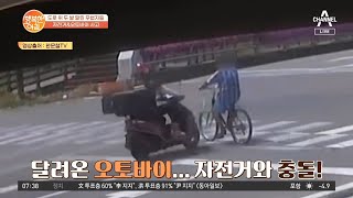 [차차차] 횡단보도 위 자전거 추돌 사고! 가해자는 오히려 자전거?!  | 행복한 아침 781 회