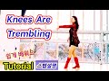 [SH LineDance] Knees Are Trembling 쉽고 쉬운설명 Tutorial / KLSF 대한생활체육연합회