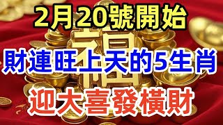 2月20號開始！財運旺上天，迎大喜發橫財的5大生肖，大富大貴，事業一帆風順，財正財連旺！