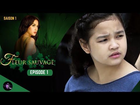 Fleur Sauvage épisode 1 En Français Hd Youtube