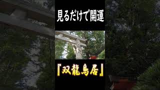 ✨見るだけで開運！！強烈な双龍鳥居のご利益をお受け取り下さい✨  #short