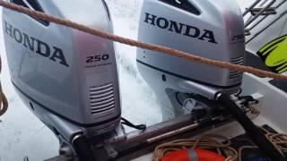 Honda Four Stroke 250 HP High Performance Outboard Motors at Full Throttle