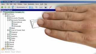 NewViews Accounting Software: Database Explorer