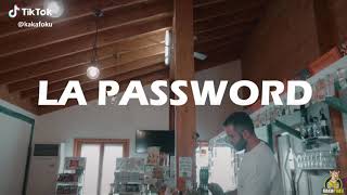 LA PASSWORD: PRIMA DEVI BERE UN LITRO DI GRAPPA/ Funny moments