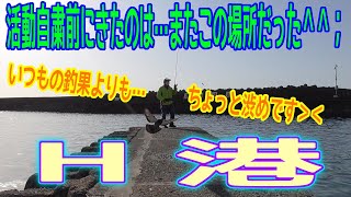 釣り動画ロマンを求めて 404釣目（H港）