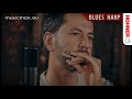 harmonica hohner blues harp sound demonstration