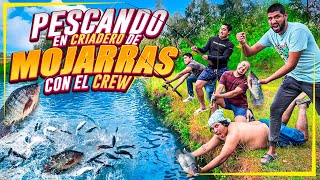 PRIMER PESCA DEL AÑO CON EL CREW  FUIMOS A UN CRIADERO DE MOJARRA 🐠