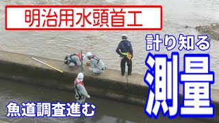 【明治用水頭首工】魚道測量調査進む