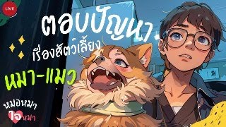 Live !! พูดคุยเรื่องที่คนมักเข้าใจผิด- ตอบปัญหา สุนัขและแมว แบบฟรีๆ ไม่มีกั๊ก กับสัตวแพทย์