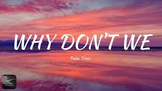 Palm Trees - Why Don't We (Lyrics)