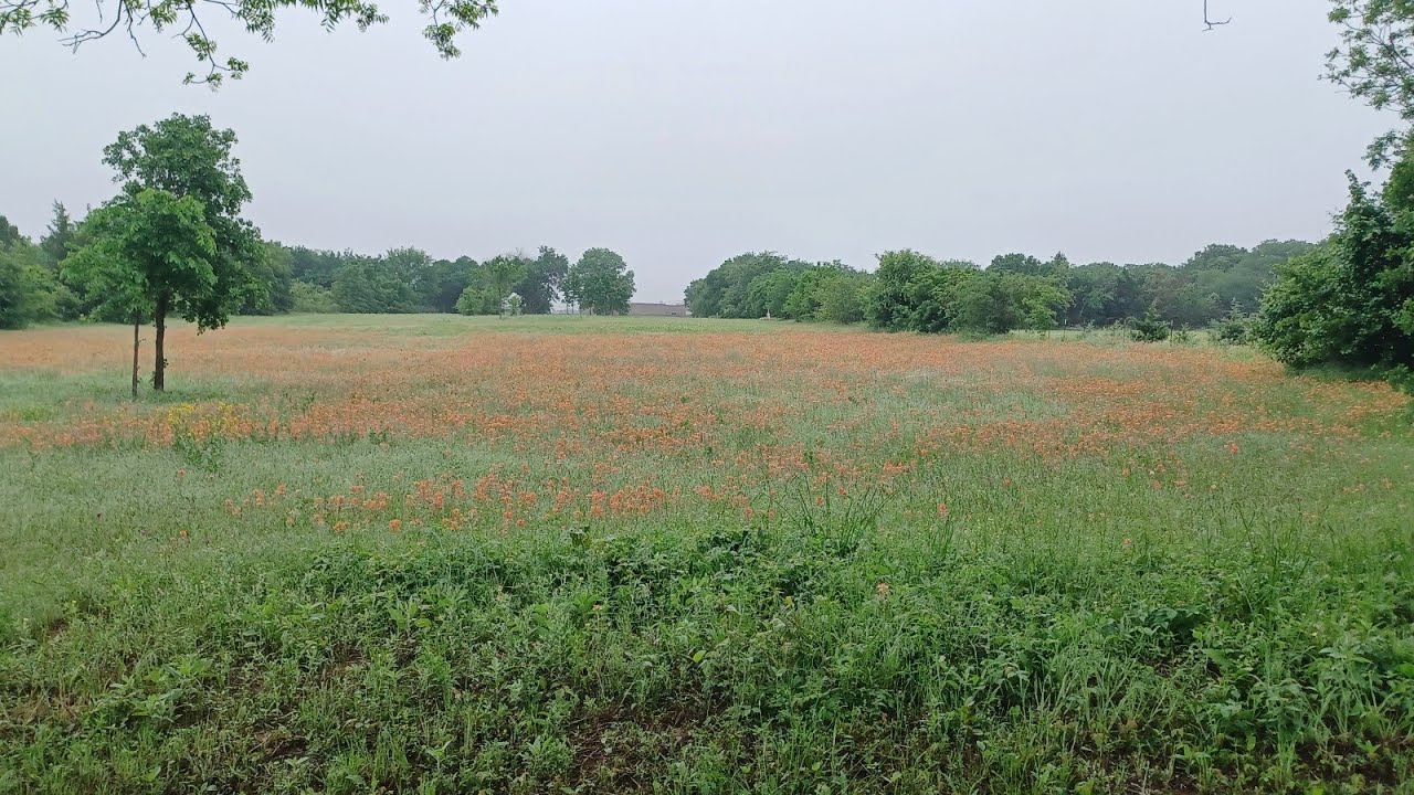 Don T Let Me Confuse You ёяшо Boydtexas Airfryers Problems Youtube