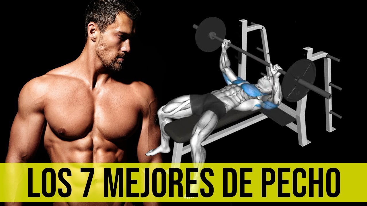 Los 7 MEJORES EJERCICIOS DE PECHO En El GYM - YouTube