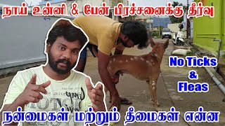 Dog Tick Powder Pros \u0026 Cons - நாய் உன்னி \u0026 பேன் பிரச்சனைக்கு தீர்வு - நன்மைகள் மற்றும் தீமைகள் என்ன