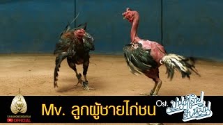 Mv. ลูกผู้ชายไก่ชน - Ost. มนต์เลิฟสิบหมื่น (Official Mv.)