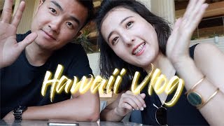 Hawaii夏威夷大島Vlog 🌊深夜潛水看魔鬼魚🌺參加婚禮💒第一次航拍The Big island