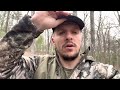 tree stand tips for whitetail success