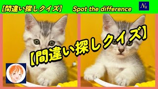 【間違い探しクイズ】 NSチャンネル　脳トレ　３か所の間違い探し　 仲間外れ１カット探し