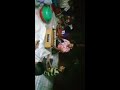 Kirtan singing by Master Praveen chand in January this year in Natua housing Seaqaqa