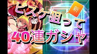 【グリアド】新ビスケ狙ってガシャ40連!!また神･･･ぇ？【HUNTERXHUNTER】グリードアドベンチャー