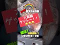 6 12 水 朝活 ！ 釣果速報 ！！ 番外編 大阪湾 人工島 南大阪 釣果情報 釣り ヤエン タコ釣り ショアジギング ノマセ釣り 泳がせ釣り