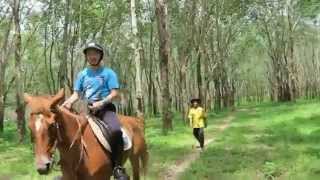 ride at phuket riding club