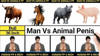Human Vs Animal's Penis Size Comparison in World 2022