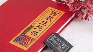 西藏生死書  索甲仁波切 13 第五章 把心帶回家（中）