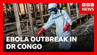 DR Congo reports more than 200 Ebola deaths | BBC News