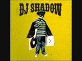 DJ Shadow - Midnight In A Perfect World [Gab Remix]