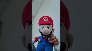 Mario Luigi's fun day of hanging out in the super Mario bros' house 🏠
