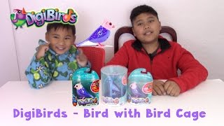 DigiBirds Bird Unboxings