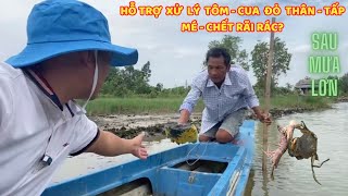 XỬ LÝ "ĐÁY AO ĐEN - SÌN THỐI" VÀ TÔM - CUA TẤP MÉ, CHẾT TRONG LÚ, CHẾT RÃI RÁC HỒNG THÂN TẠI CÀ MAU