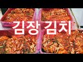 [korean food] kimjang kimchi (cabbage kimchi) arnalda choi