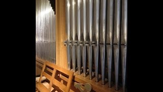 Die Sendung mit der Maus auf der Orgel. Intro Musik