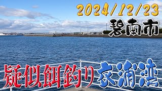 今年最後の衣浦湾 in愛知県 碧南市　🌸趣味のすすめ 042🌸