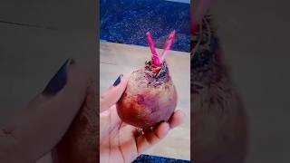 #drink recipe🍹പാർട്ടികളിൽ തിളങ്ങാൻ ഇനി ഈ drink മതി |വീട്ടിൽ ഉള്ള ഈ ഒരു item കൊണ്ട് ചുരുങ്ങിയ ചിലവിൽ