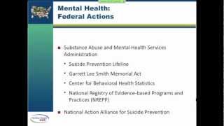 Leading Health Indicators Webinar: Mental Health (Part 2 of 6)