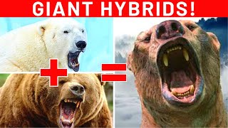 10 Scariest Hybrid Animals On Planet Earth